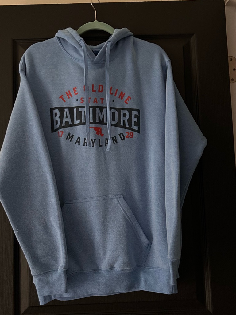 Point The Old Line State Baltimore Maryland Hoodie